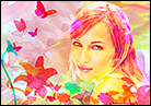 Butterflies